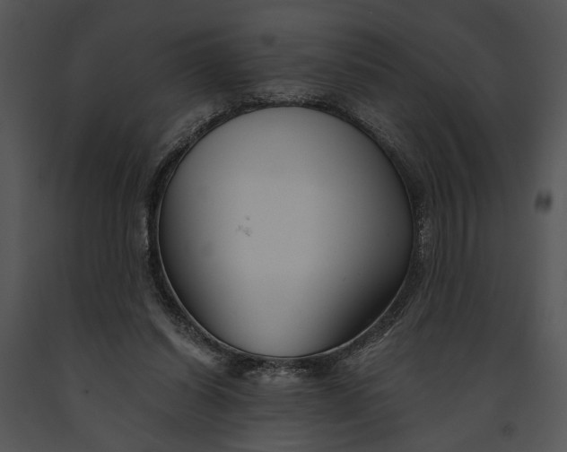 X0000091180254200708301222