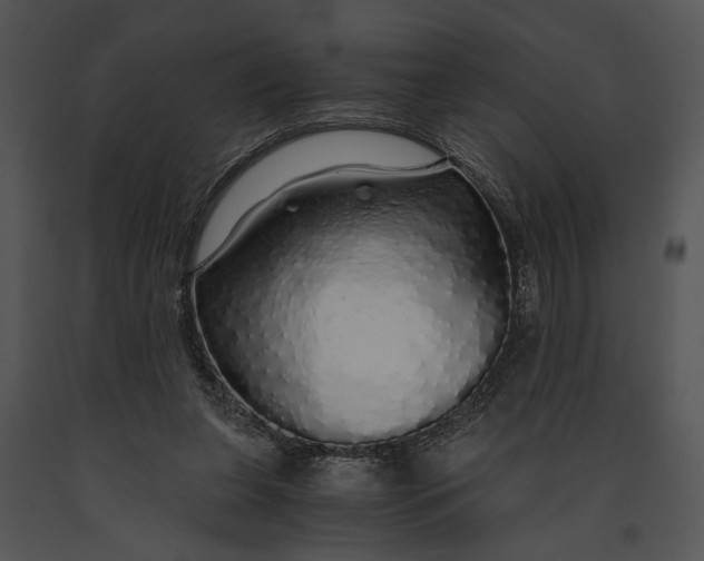 X0000091180255200708301222