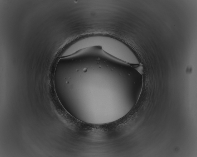 X0000091180256200708301222