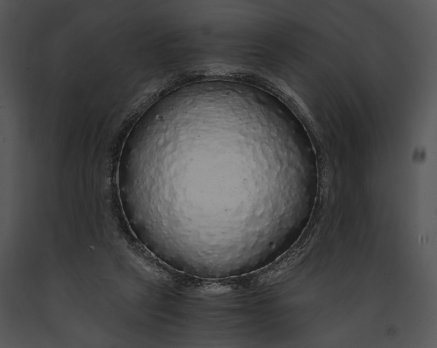 X0000091180257200708301222