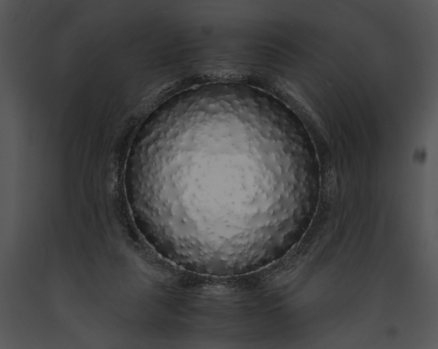 X0000091180259200708301222