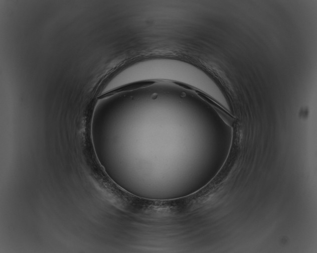 X0000091180260200708301222