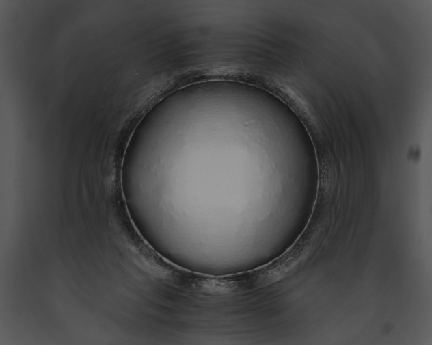 X0000091180261200708301222