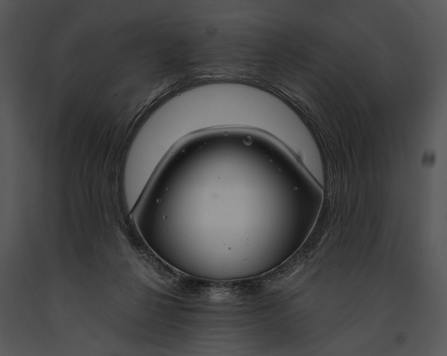 X0000091180264200708301222