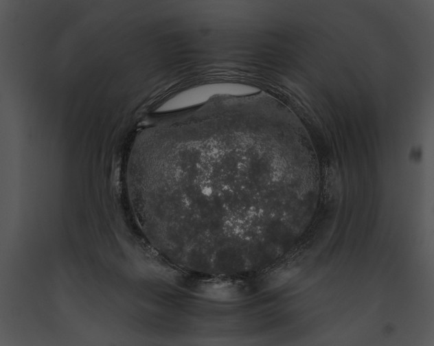 X0000091180267200708301222