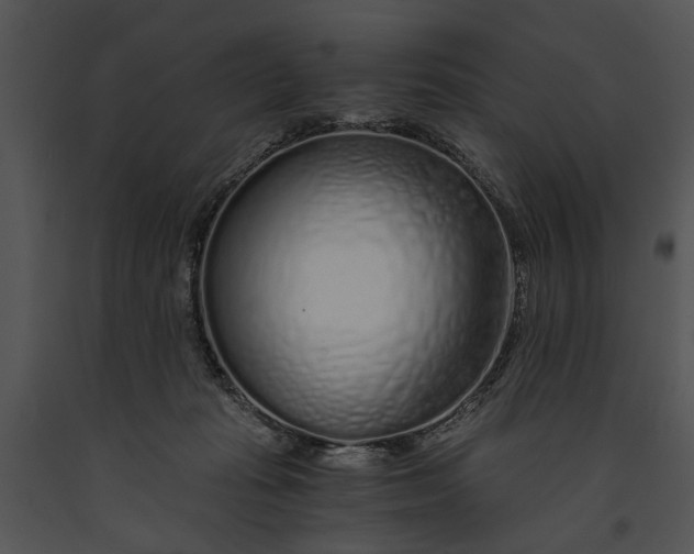 X0000091180269200708301222