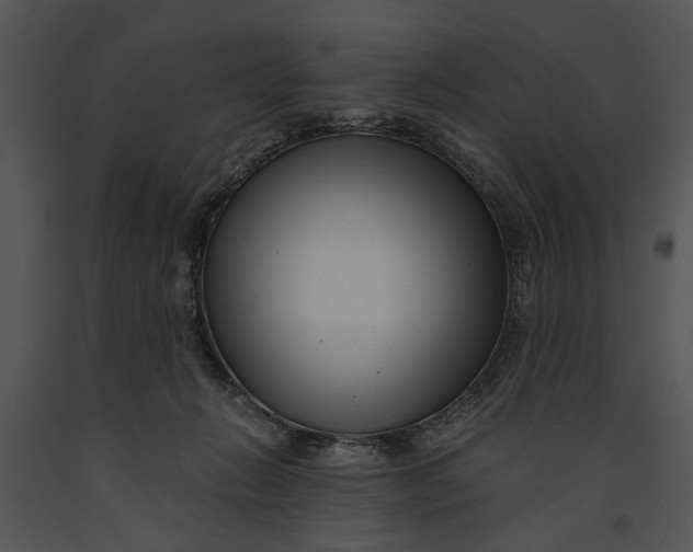 X0000091180270200708301222