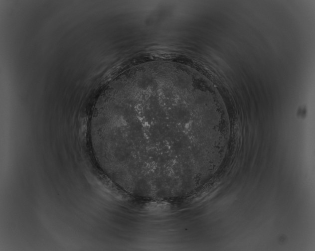 X0000091180271200708301222