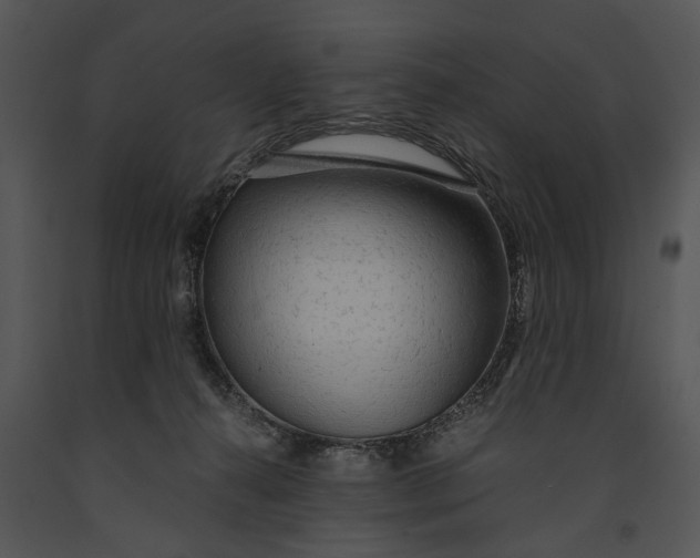 X0000091180272200708301222