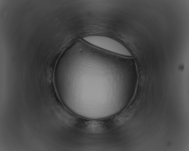 X0000091180273200708301222