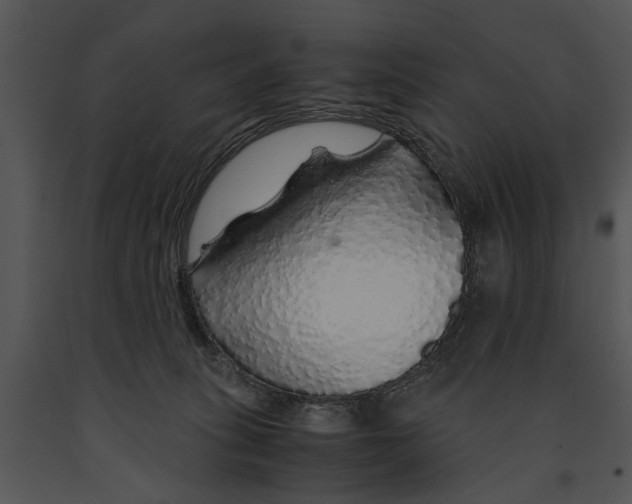 X0000091180275200708301222