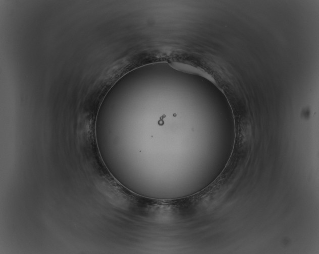 X0000091180276200708301222