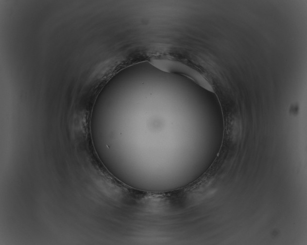 X0000091180280200708301222