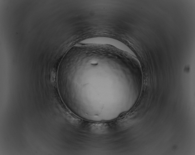 X0000091180281200708301222