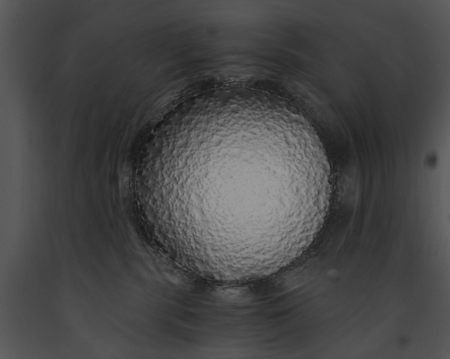 X0000091180283200708301222