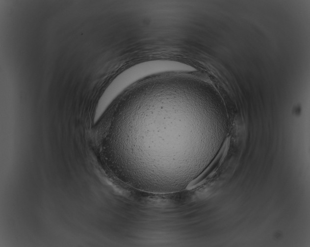 X0000091180284200708301222