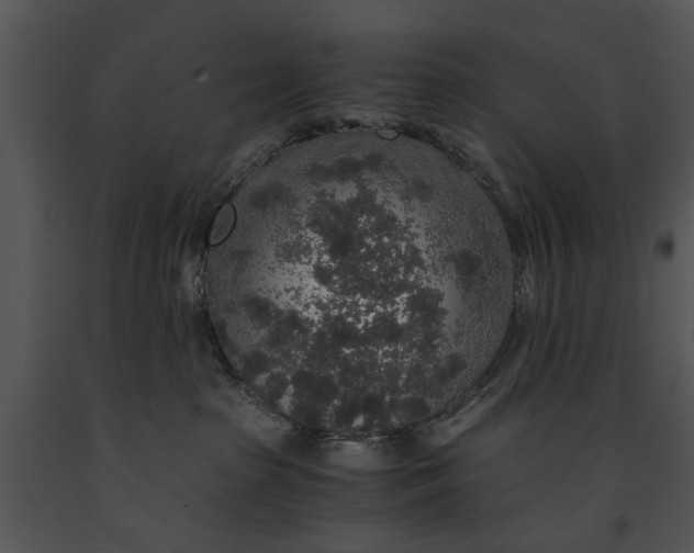 X0000091180285200708301222