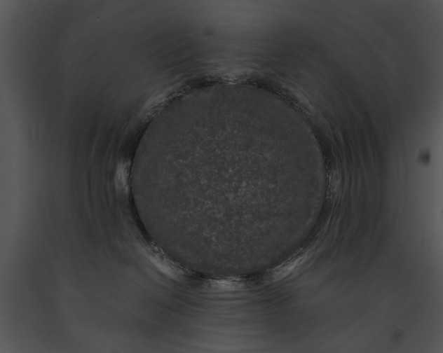 X0000091180286200708301223