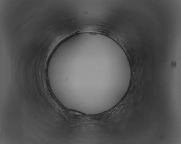 X0000091180289200708301222