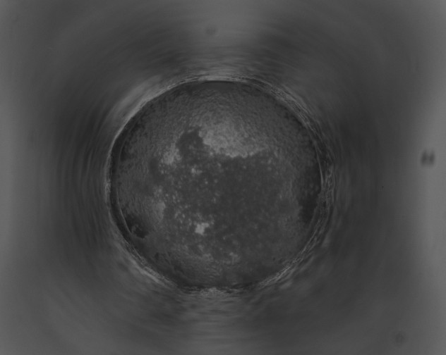 X0000091180290200708301222