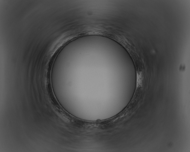 X0000091180291200708301222