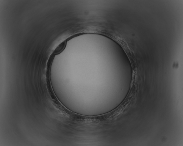 X0000091180292200708301222