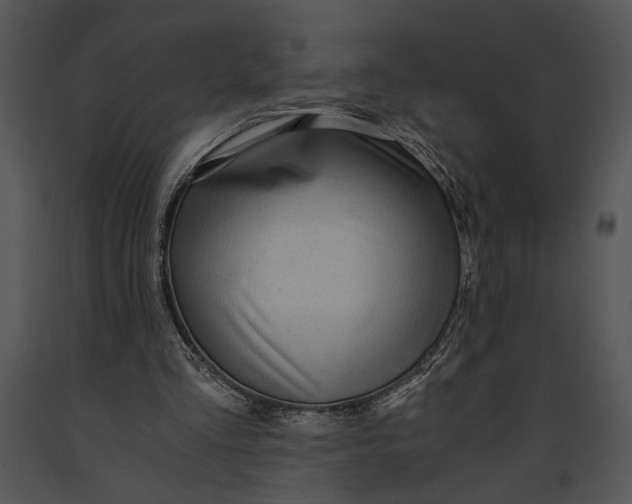 X0000091180293200708301222