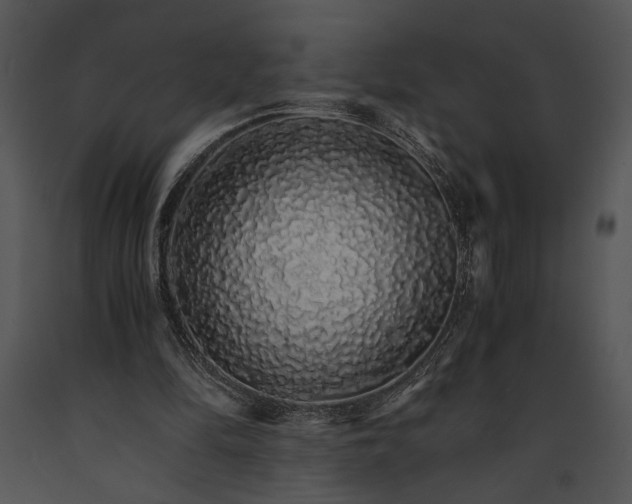 X0000091180294200708301222