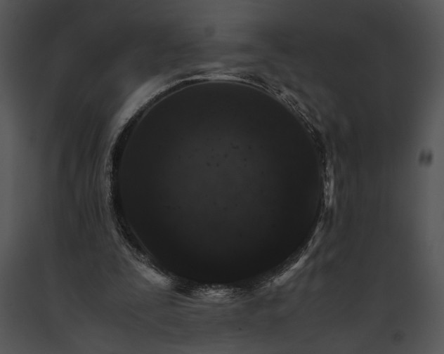 X0000091180295200708301222