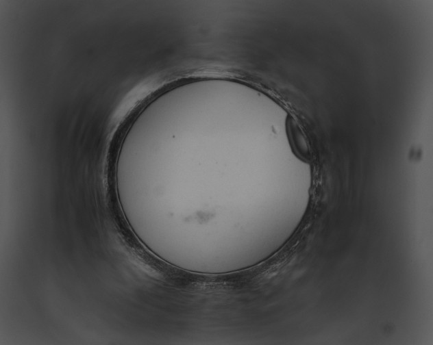 X0000091180296200708301222