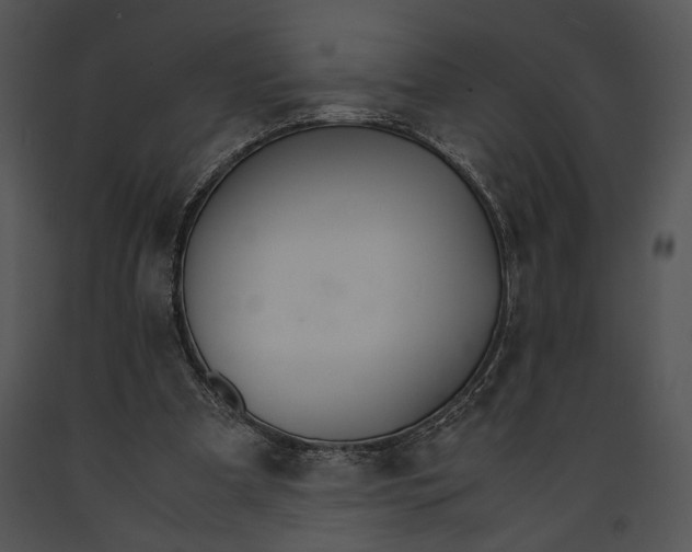 X0000091180297200708301222