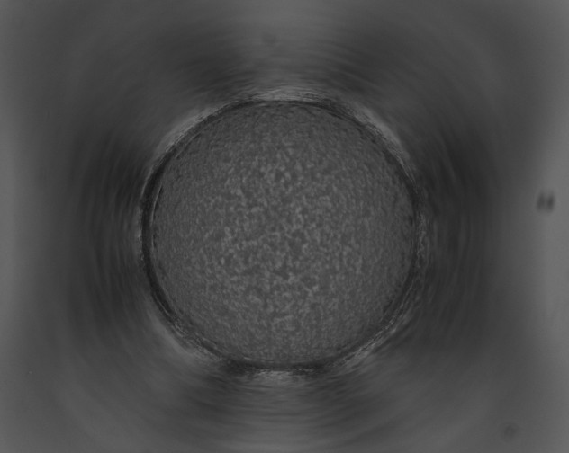 X0000091180298200708301222