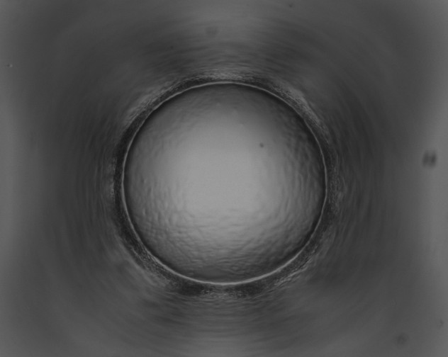 X0000091180299200708301222