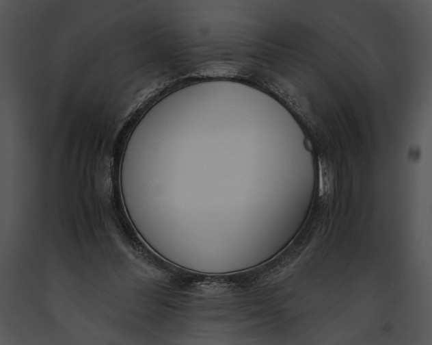 X0000091180300200708301222