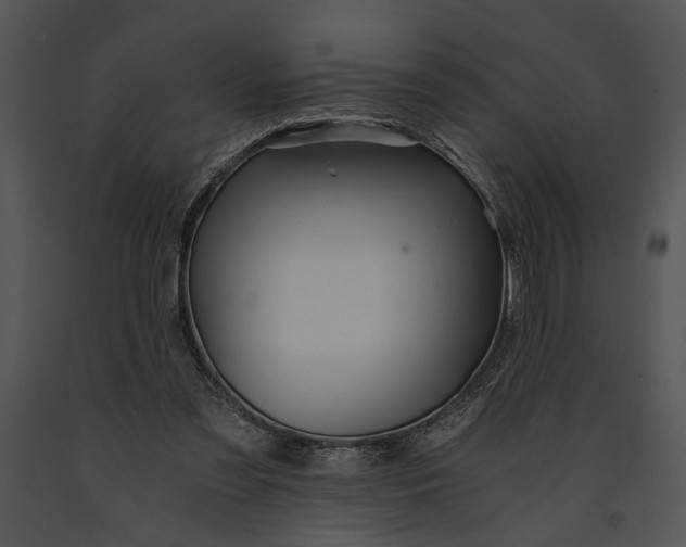 X0000091180301200708301222