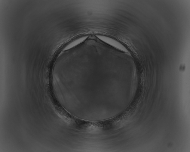 X0000091180303200708301222