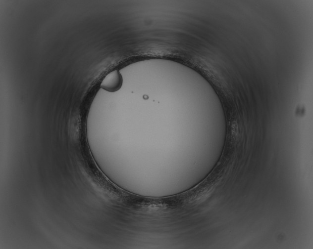 X0000091180304200708301222