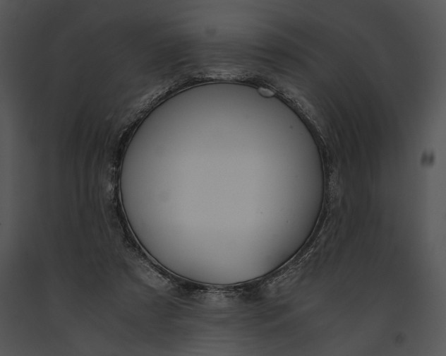 X0000091180305200708301222