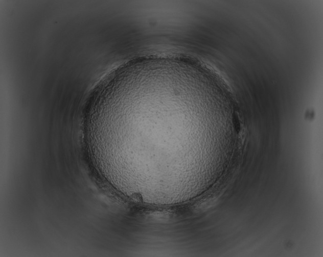 X0000091180306200708301222
