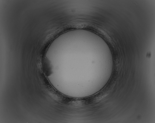 X0000091180307200708301222