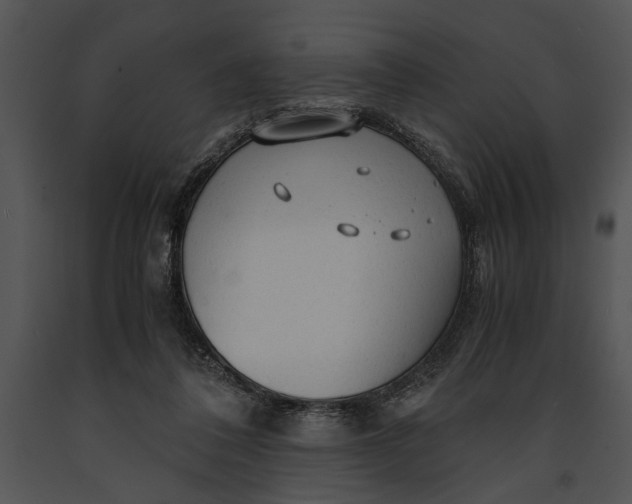 X0000091180308200708301222