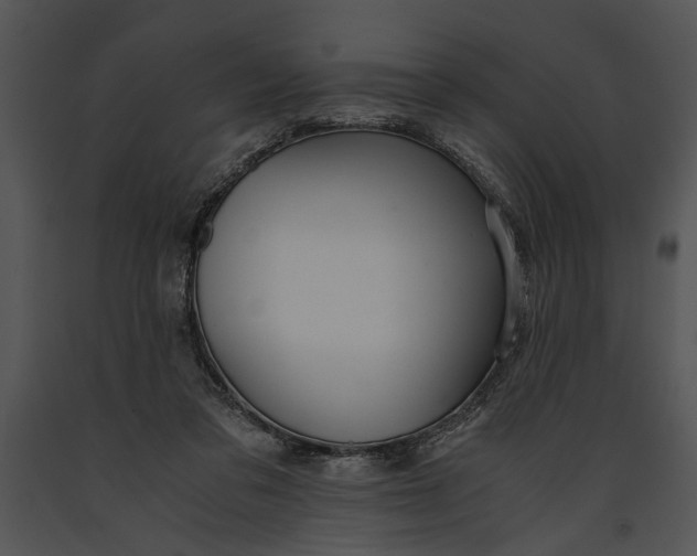 X0000091180309200708301222