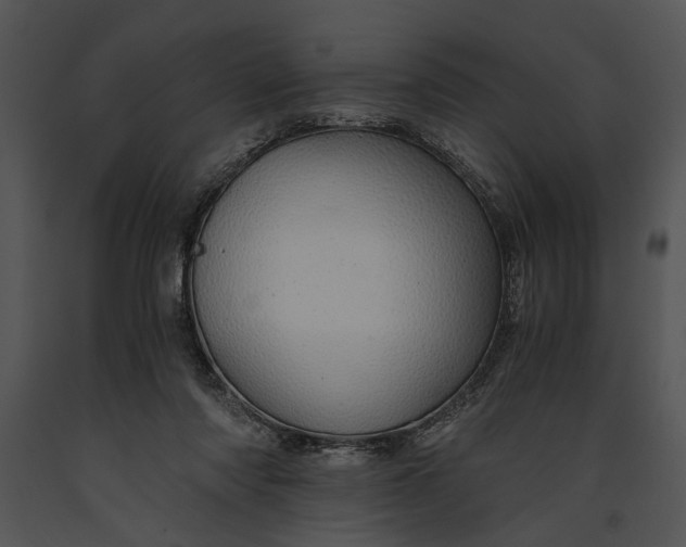 X0000091180310200708301222
