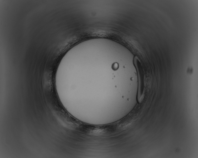 X0000091180312200708301222