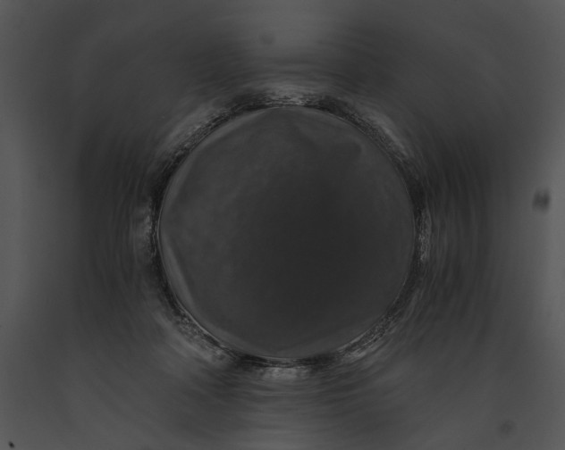 X0000091180314200708301222