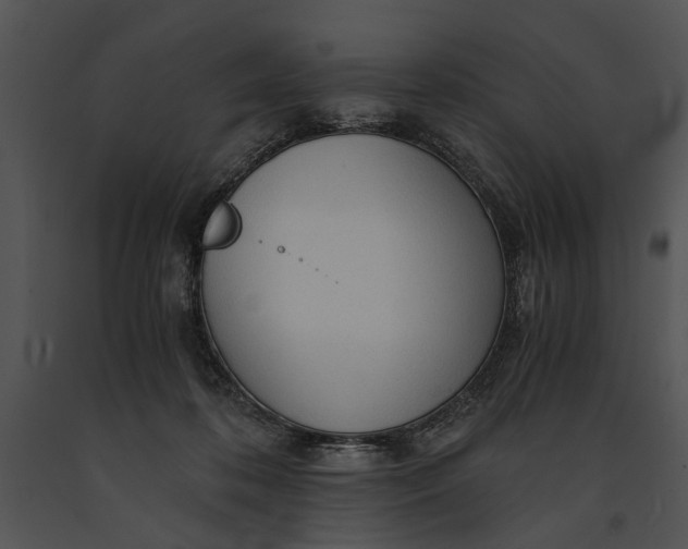 X0000091180316200708301222