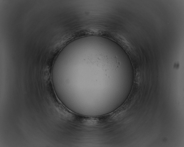 X0000091180318200708301222