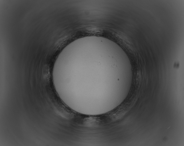 X0000091180320200708301222