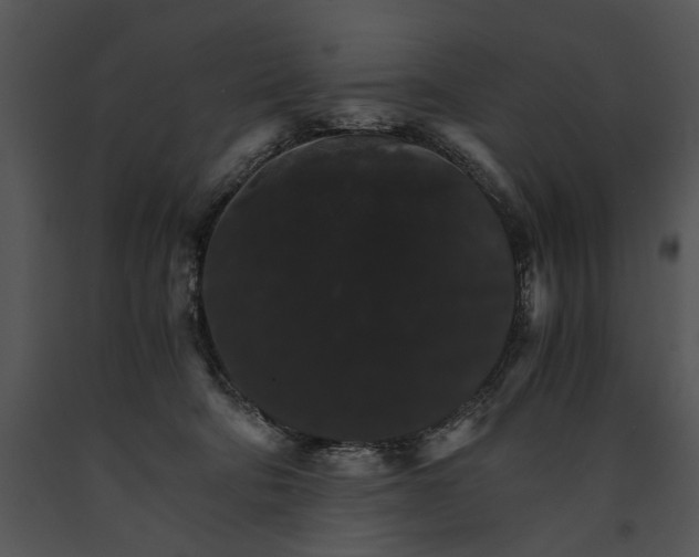 X0000091180322200708301222