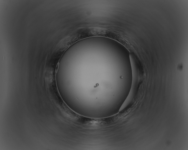 X0000091180323200708301222